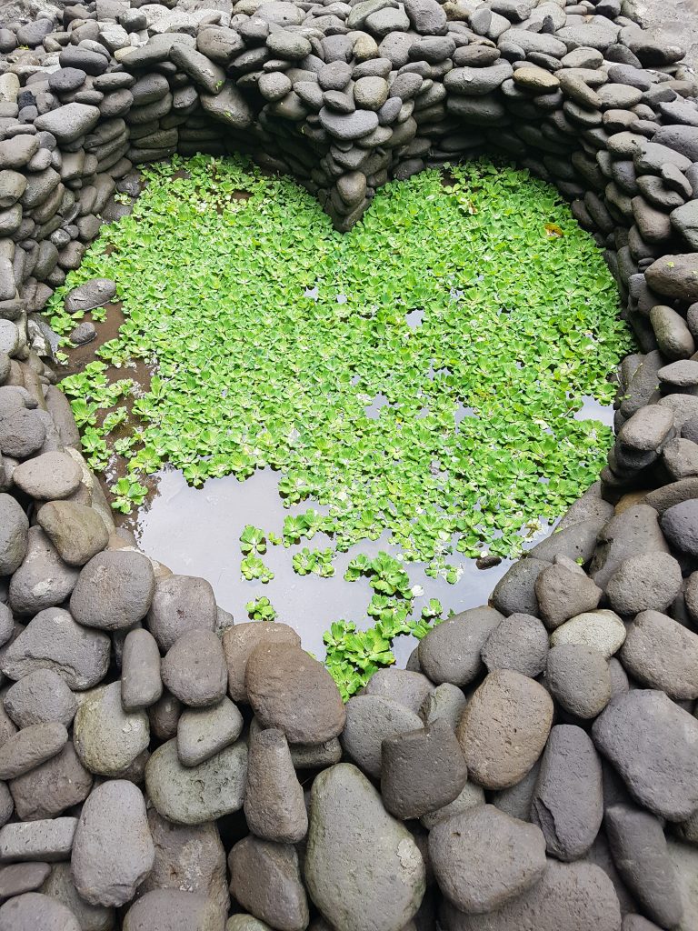 5 ways to show love and attention